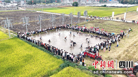 农民趣味运动会。 绵竹市融媒体中心供图 农民趣味运动会。 绵竹市融媒体中心供图