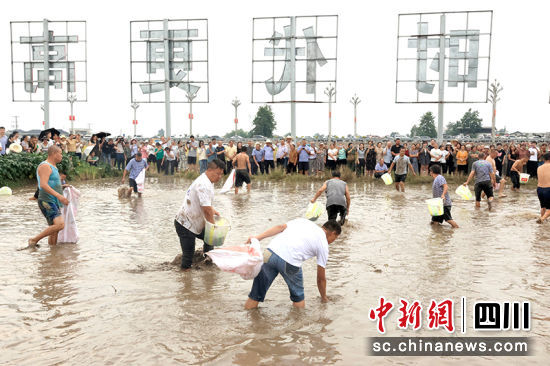 农民趣味运动会。 绵竹市融媒体中心供图 农民趣味运动会。 绵竹市融媒体中心供图