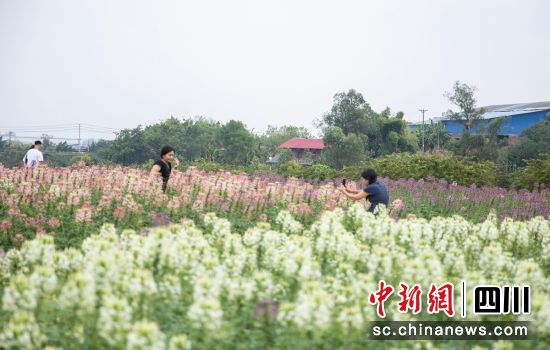 游客拍照留念。刘庆 供图 游客拍照留念。刘庆 供图