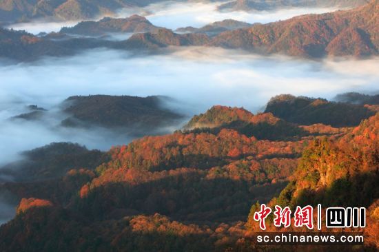 光雾山景区美景。巴中文旅集团供图 光雾山景区美景。巴中文旅集团供图