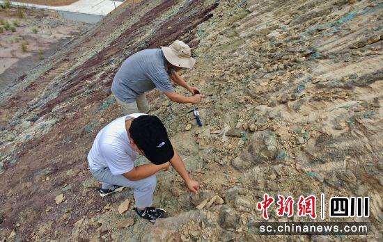 勘查现场。自贡文旅 供图 勘查现场。自贡文旅 供图
