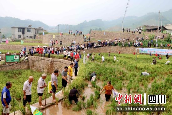 捕鱼现场热闹非凡。 罗景萍 摄 捕鱼现场热闹非凡。 罗景萍 摄