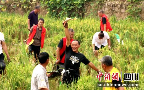 收获战利品。 罗景萍 摄 收获战利品。 罗景萍 摄