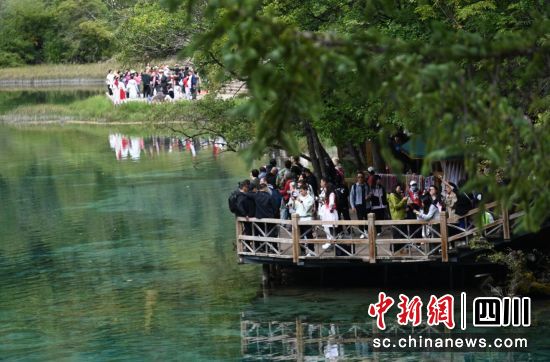 九寨沟景区美景。九寨沟县委宣传部供图 九寨沟景区美景。九寨沟县委宣传部供图