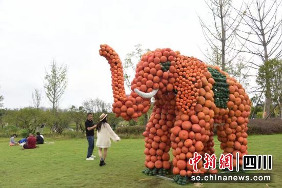 国庆期间,东安湖上新南瓜艺术装饰。成都经开文旅发展有限公司 供图 国庆期间,东安湖上新南瓜艺术装饰。成都经开文旅发展有限公司 供图