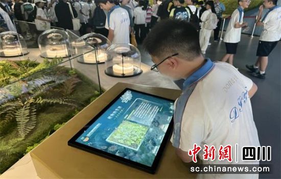 研学现场。东升一中 供图 研学现场。东升一中 供图