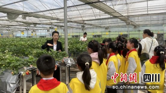 陈琳建立的产学研基地。赖俊全 摄 陈琳建立的产学研基地。赖俊全 摄