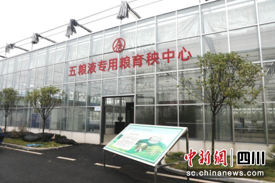 五粮液专用粮育秧中心。朱思雨 摄 五粮液专用粮育秧中心。朱思雨 摄