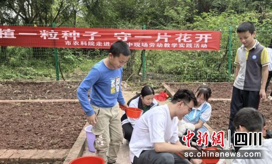 劳动现场。沿滩融媒 供图 劳动现场。沿滩融媒 供图