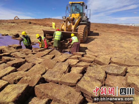 分割草甸。中国华电昌都新能源有限公司供图 分割草甸。中国华电昌都新能源有限公司供图