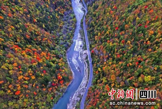 黑水彩林风光。黑水县委宣传部供图 黑水彩林风光。黑水县委宣传部供图