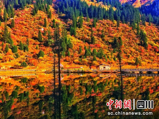 黑水彩林风光。黑水县委宣传部供图 黑水彩林风光。黑水县委宣传部供图