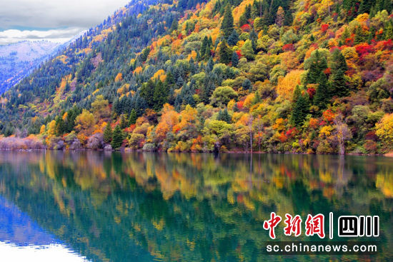 黑水彩林风光。黑水县委宣传部供图 黑水彩林风光。黑水县委宣传部供图