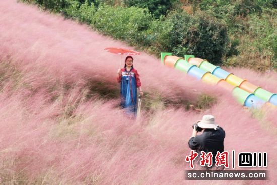 游客在粉黛花海内拍照。蒋雪梅 摄 游客在粉黛花海内拍照。蒋雪梅 摄