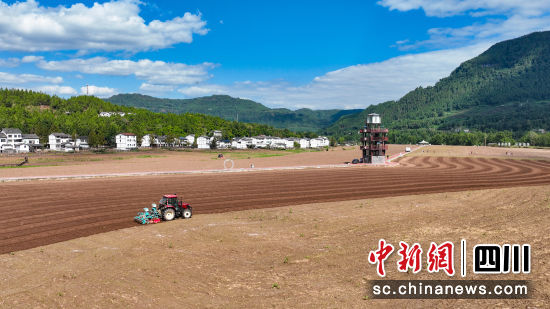 10月14日,白衣镇优质粮油基地,农机手驾驶着油菜精量播种机来回穿梭播种油菜。中共平昌县委宣传部 供图 10月14日,白衣镇优质粮油基地,农机手驾驶着油菜精量播种机来回穿梭播种油菜。中共平昌县委宣传部 供图