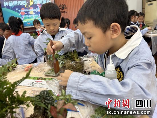 同学们学习植物栽培。成都市花木技术服务中心供图 同学们学习植物栽培。成都市花木技术服务中心供图