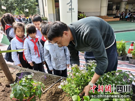 同学们学习植物栽培。成都市花木技术服务中心供图 同学们学习植物栽培。成都市花木技术服务中心供图