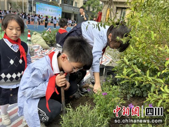 同学们动手栽培植物。成都市花木技术服务中心供图 同学们动手栽培植物。成都市花木技术服务中心供图