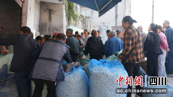 前来售茧的村民。罗景萍 摄 前来售茧的村民。罗景萍 摄
