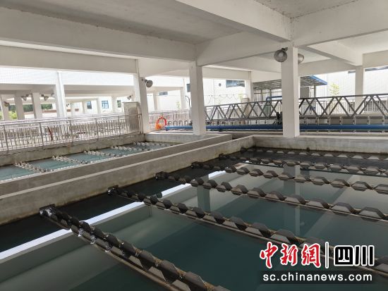 网格絮凝池对水质进行沉淀处理。 安州区委宣传部供图 网格絮凝池对水质进行沉淀处理。 安州区委宣传部供图