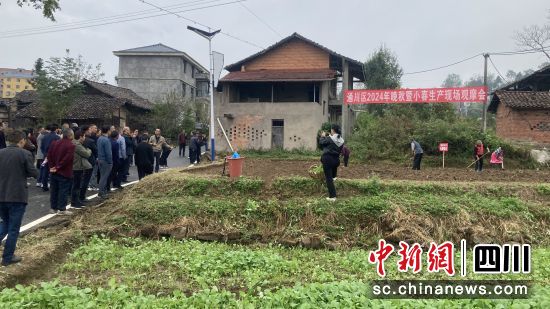 小春生产现场观摩会。通川区融媒体中心供图 小春生产现场观摩会。通川区融媒体中心供图