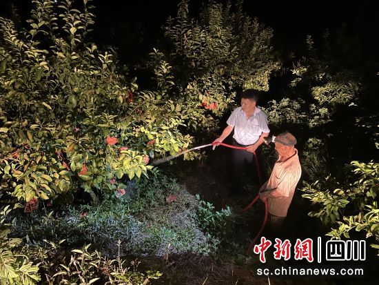 邮储银行达州市渠县支行客户经理帮助亚博柠檬种植户基地浇灌。邮储银行达州市渠县支行供图 邮储银行达州市渠县支行客户经理帮助亚博柠檬种植户基地浇灌。邮储银行达州市渠县支行供图