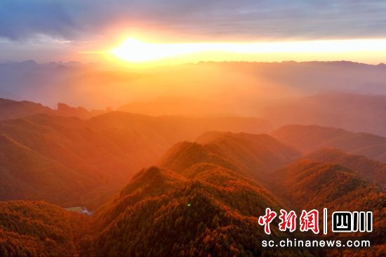 金秋十月,旺苍县米仓山万山红遍。苗志勇 摄 金秋十月,旺苍县米仓山万山红遍。苗志勇 摄