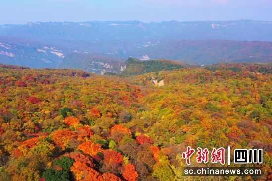深秋时节,盐井河峡谷森林公园五彩斑斓如巨幅彩色地毯。苗志勇 摄 深秋时节,盐井河峡谷森林公园五彩斑斓如巨幅彩色地毯。苗志勇 摄