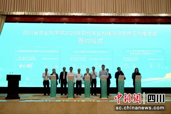 签约仪式现场。陈选斌 摄 签约仪式现场。陈选斌 摄