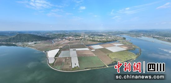 航拍顺庆区渔溪镇的菜粮现代农业园区。黎涛 摄 航拍顺庆区渔溪镇的菜粮现代农业园区。黎涛 摄