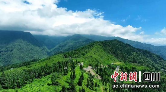 汶川生态环境持续向好。汶川县委宣传部供图 汶川生态环境持续向好。汶川县委宣传部供图
