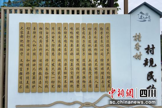 丹棱乡村墙上的村规民约。刘丁源 摄 丹棱乡村墙上的村规民约。刘丁源 摄