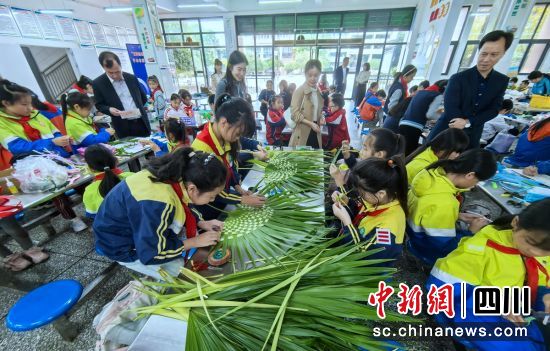 园艺组比赛现场。贡井教体 供图 园艺组比赛现场。贡井教体 供图