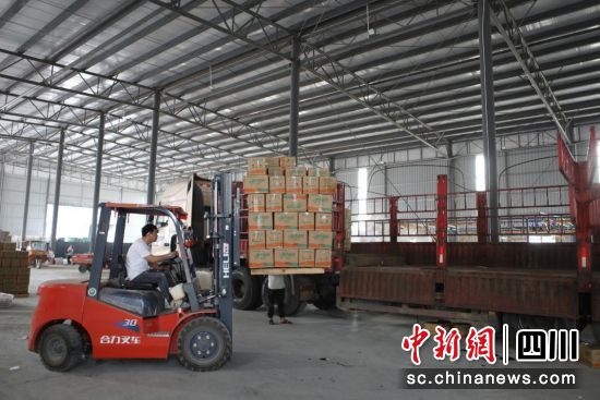 榴金时代农业公司加工厂内,工人们正在进行石榴装车。邮储银行攀枝花分行供图 榴金时代农业公司加工厂内,工人们正在进行石榴装车。邮储银行攀枝花分行供图