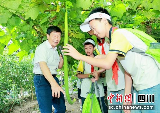 成都青白江区关工委“五老”工作室志愿者施尚泽科普太空育种知识。成都市关工委供图 成都青白江区关工委“五老”工作室志愿者施尚泽科普太空育种知识。成都市关工委供图