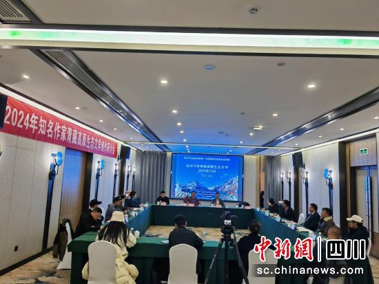 研讨会现场。四川省红星作家协会 供图 研讨会现场。四川省红星作家协会 供图