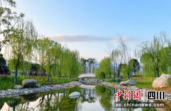 公园优美的生态环境。雨城融媒 供图 公园优美的生态环境。雨城融媒 供图