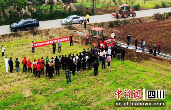 专家在田间地头讲解小麦播种事项。肖蒙 摄 专家在田间地头讲解小麦播种事项。肖蒙 摄