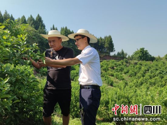 邮储银行达州市渠县支行客户经理实地探访亚博柠檬种植农民专业合作社。邮储银行达州市渠县支行供图 邮储银行达州市渠县支行客户经理实地探访亚博柠檬种植农民专业合作社。邮储银行达州市渠县支行供图