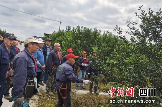 工作现场。富顺融媒 供图 工作现场。富顺融媒 供图