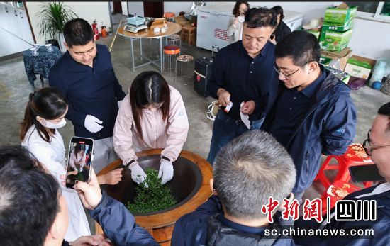 在高岗村体验手工制茶。名山融媒 供图 在高岗村体验手工制茶。名山融媒 供图