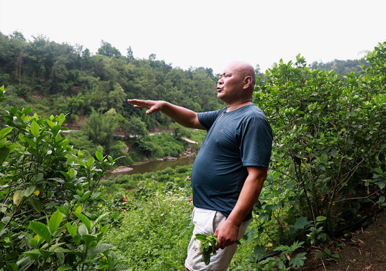邓宗均介绍下一步种植计划 邓宗均介绍下一步种植计划