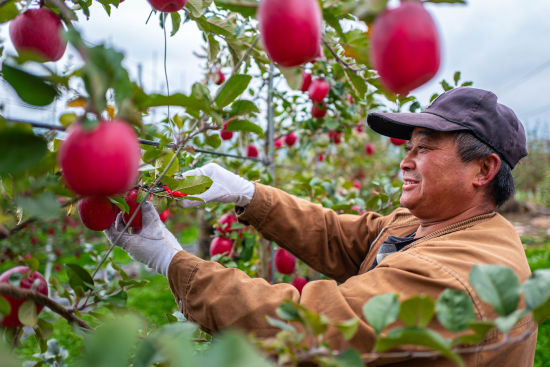 ����ũæ��ժ�� ����/��