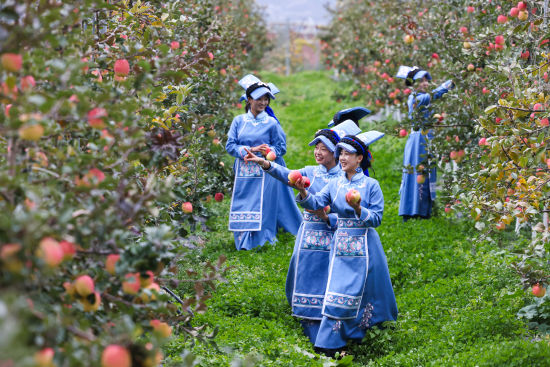 ��Ǽ������ժƻ���� ����/�� 