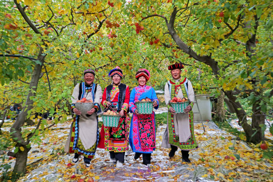 ��ϲ����ա� �³�/��