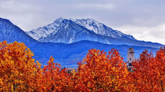 ����Ǽ�ǵ���� �³�/��