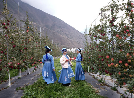 ���Ŷ�ƻ��԰�� �����/��