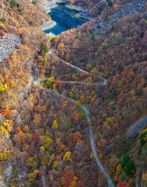 �����־�Ⱦ�� ����/��