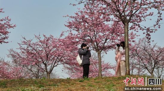 ӣ����ʢ���ɶ����½���ί��������ͼ