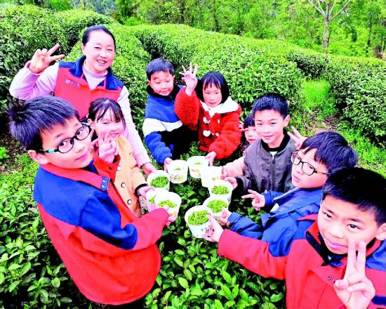 张蓉带着孩子们采茶 受访者供图 张蓉带着孩子们采茶 受访者供图